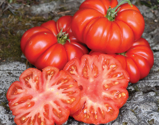 Tomatoes