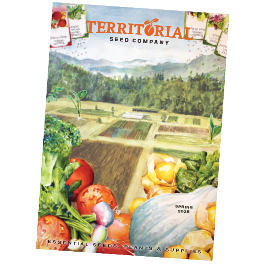 Catalog Form Territorial Seed