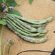RATTLESNAKE BEAN