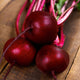 GEMINI-BEET