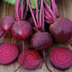 GEMINI-BEET