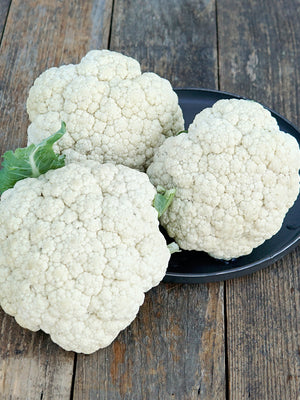 SNOW CROWN-CAULIFLOWER