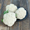 SNOW CROWN-CAULIFLOWER