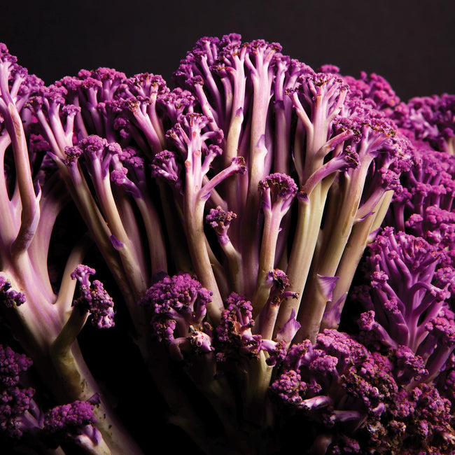 A close-up image of purple florets of a Murasaki Fioretto 70 cauliflower plant.