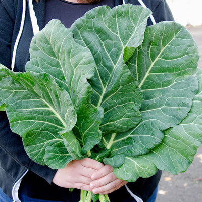 TOP CHOP-COLLARD