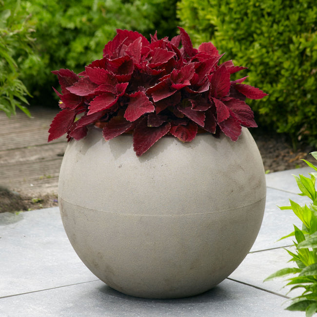 PREMIUM SUN SWEET PAPRIKA™