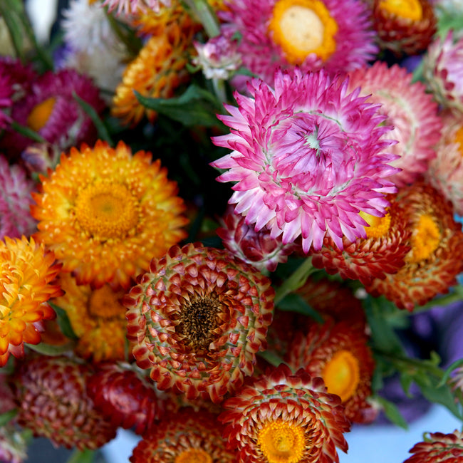 Bouquet of colorful flowers including pink, orange, and red.