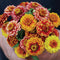 AZTEC SUNSET MIX-ZINNIA