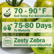 GREEN ZEBRA
