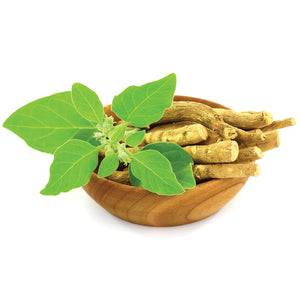 ASHWAGANDHA