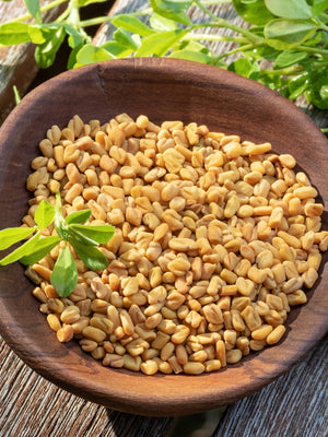 FENUGREEK-FENUGREEK