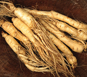 AMERICAN GINSENG-GINSENG
