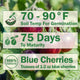 INDIGO™ BLUE BERRIES