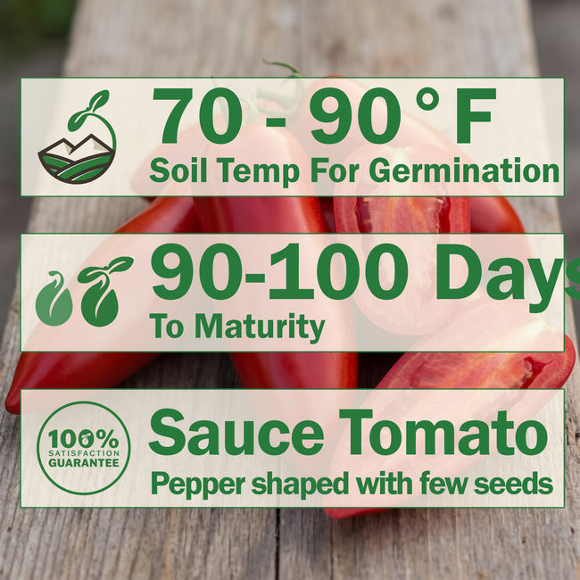 Jersey Devil Tomato