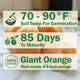 KELLOGG'S BREAKFAST