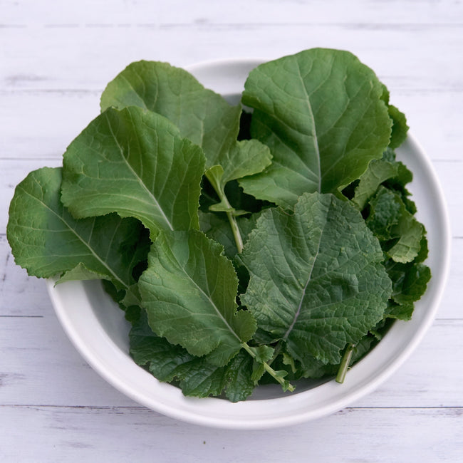 TEXSEL GREENS