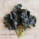 Bunch of dark green KX-1 kale leaves on a wooden surface