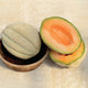 OREGON DELICIOUS-MELON
