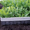 UBER-ARUGULA