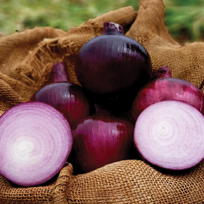 A group of dark red, barolo onions with one cut in half to show the inside, placed on a burlap fabric.