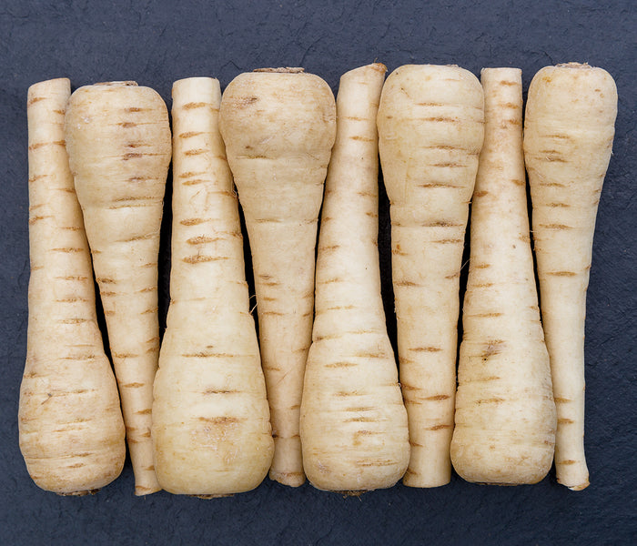 WARRIOR-PARSNIP