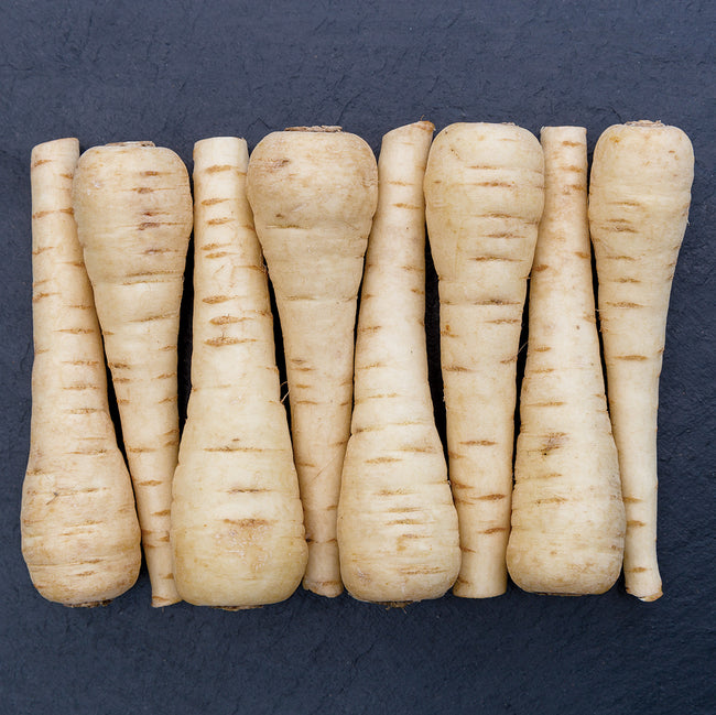 WARRIOR-PARSNIP