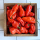 A wooden crate filled with bright red NOTTA HOTTA peppers with a waxy appearance, displayed on a white tiled background.