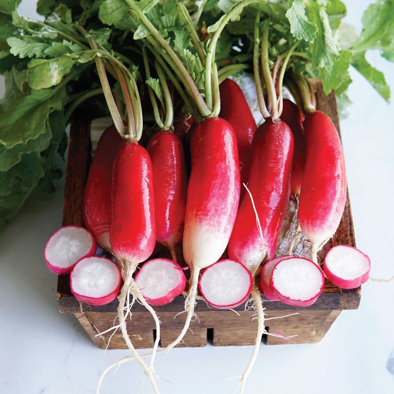 Territorial Seed Company French Breakfast Radish Seed