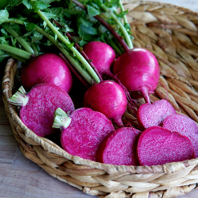 Basket of wonderland radishes with green tops in a wicker basket