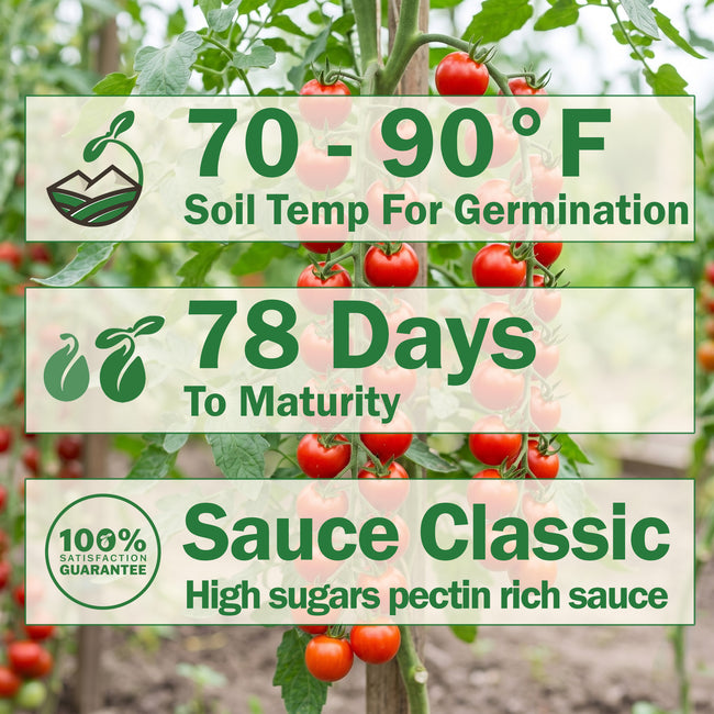 SAN MARZANO