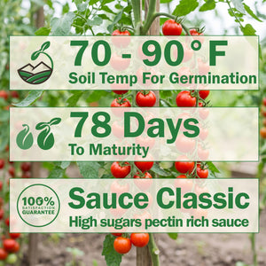 SAN MARZANO