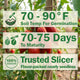 Siletz Tomato