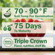 Tasti-Lee® Tomato