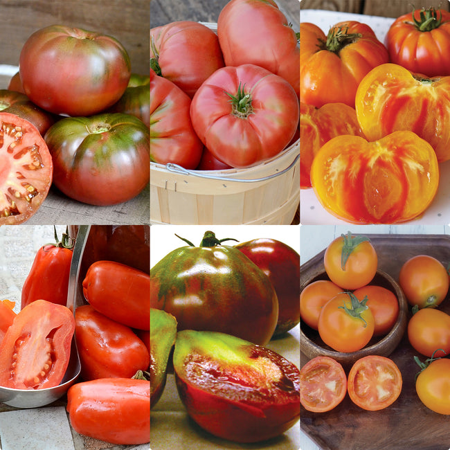 HEIRLOOM TOMATO COLLECTION