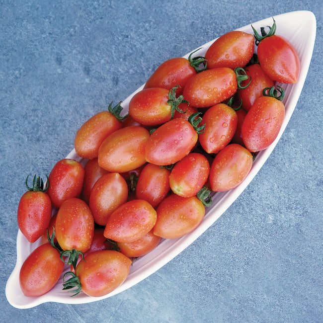 RASPBERRY DROP-TOMATO