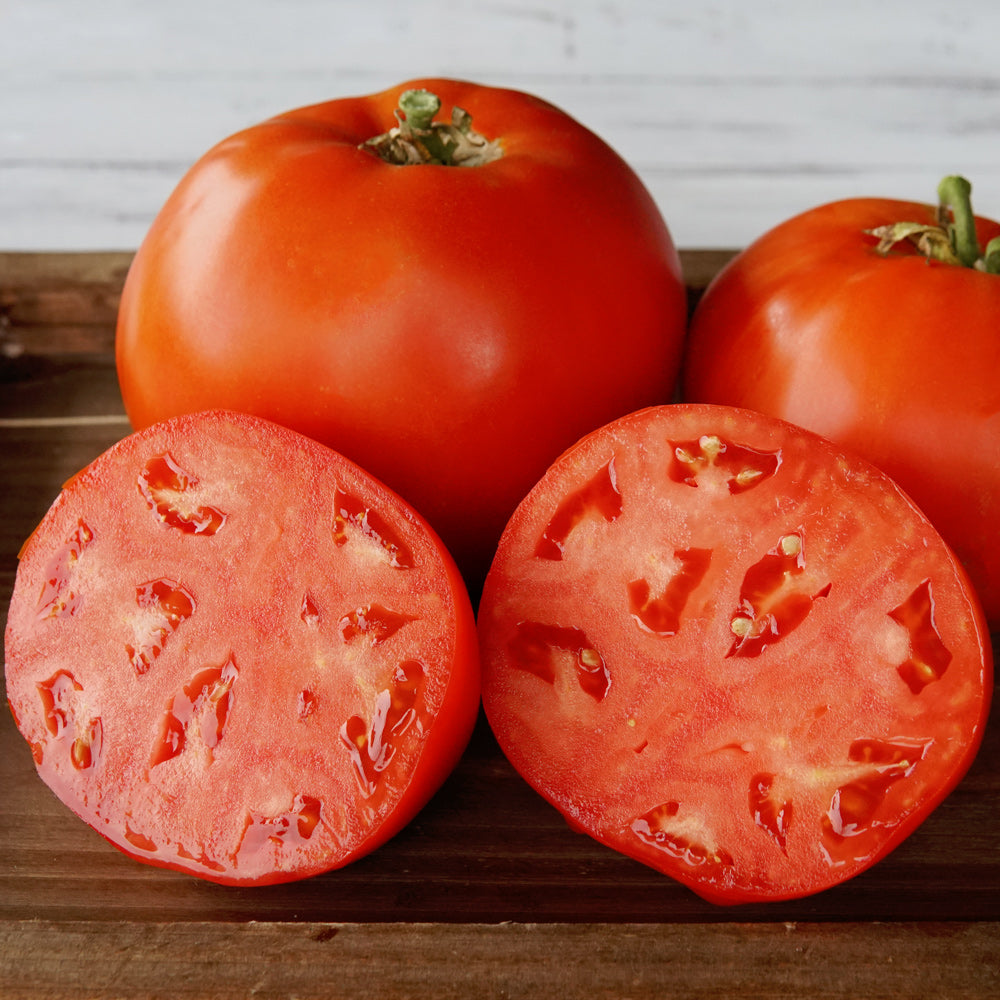 Territorial Seed Company Umpqua Beauty Tomato