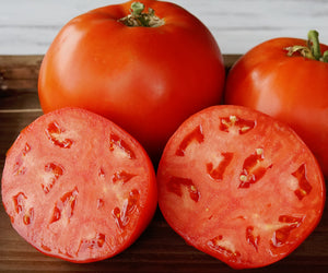 UMPQUA BEAUTY-TOMATO