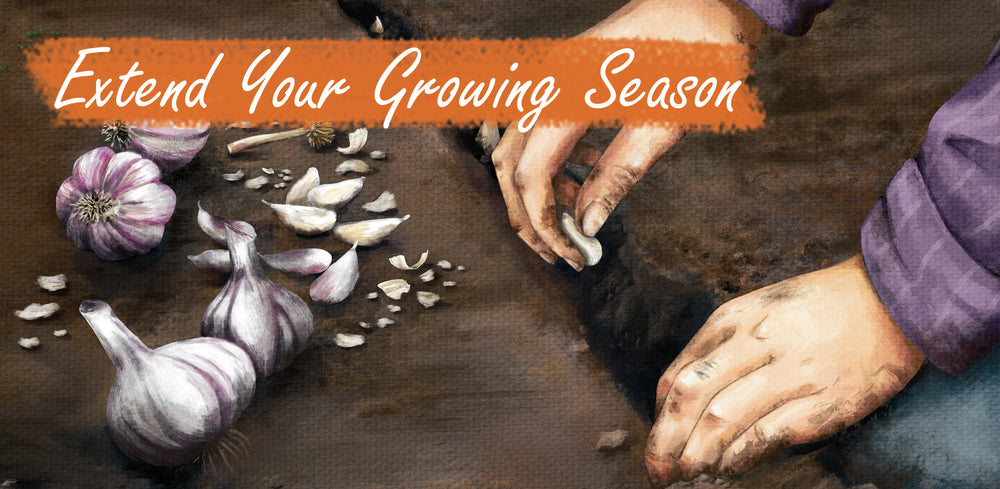 Extend Your Growing Season