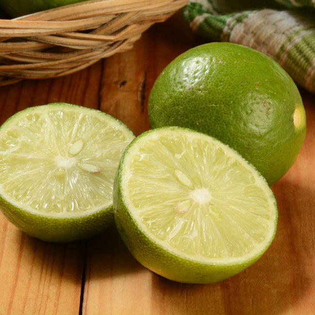THORNLESS MEXICAN KEY LIME