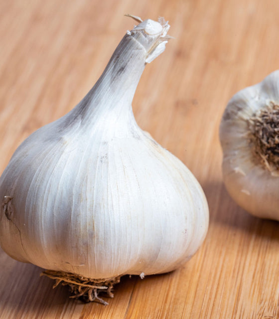 A close-up of a whole blue music garlic bulb on a light wooden surface, with another garlic bulb partially visible in the background.