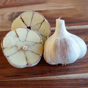 Moghadam's Marbled Garlic