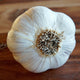 Moghadam's Marbled Garlic