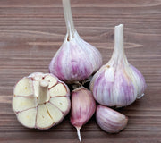 BAVARIAN PURPLE-GARLIC