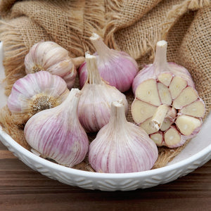 PERSIAN STAR-GARLIC