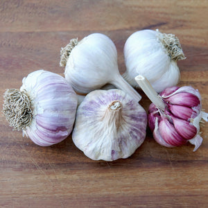 Creole Red Garlic
