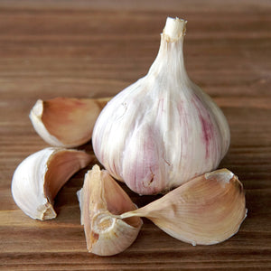 IVAN GARLIC