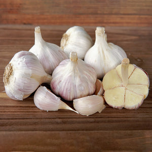 IVAN GARLIC