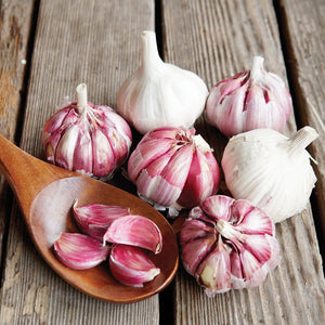 german red garlic heads on spoon with a wooden background