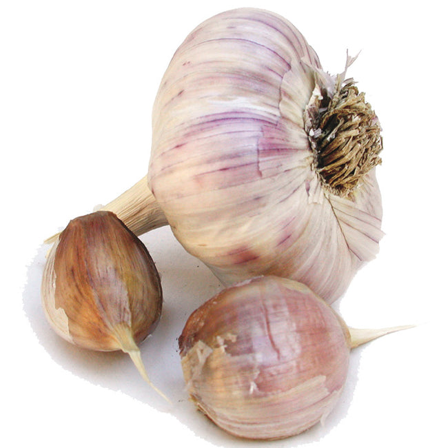 SPANISH ROJA-GARLIC