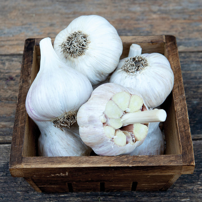 ROMANIAN RED-GARLIC